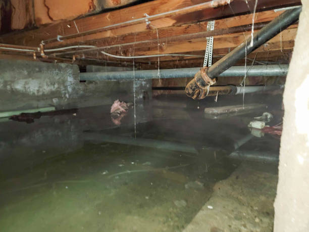  Oran, MO Water damage restoration Pros