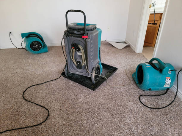 Best Sewage cleanup and water damage restoration  in Oran, MO