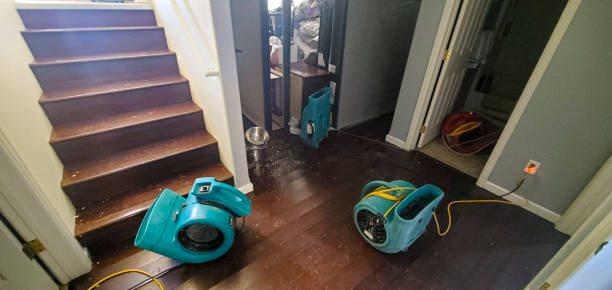 Best Flood damage cleanup  in Oran, MO