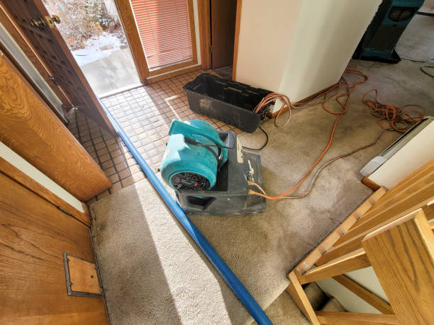 Fire Damage Restoration in Oran, MO