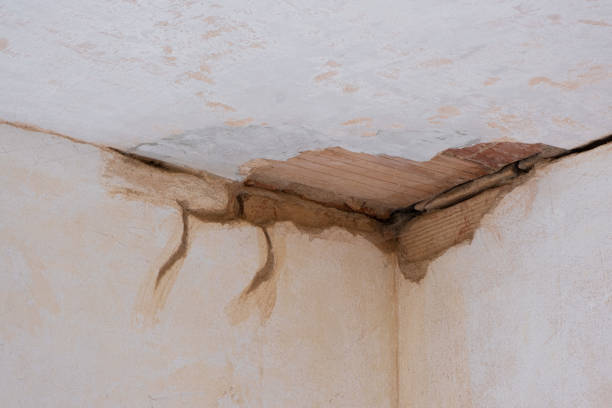 Best Water damage restoration services  in Oran, MO