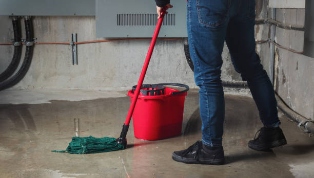 Best 24-hour water damage restoration  in Oran, MO