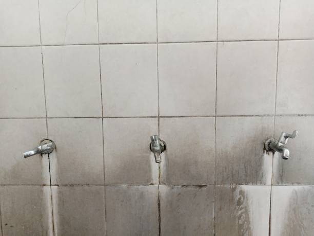 Best Local water damage restoration  in Oran, MO