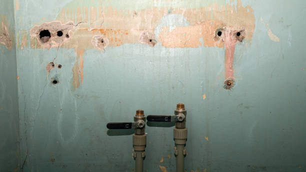 Best 24-hour water damage restoration  in Oran, MO